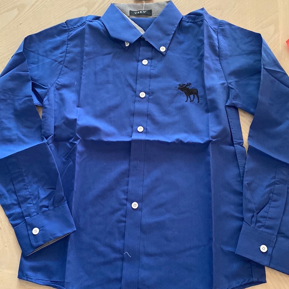 VSKA, NWT, Mens blue button down, long sleeve shirt